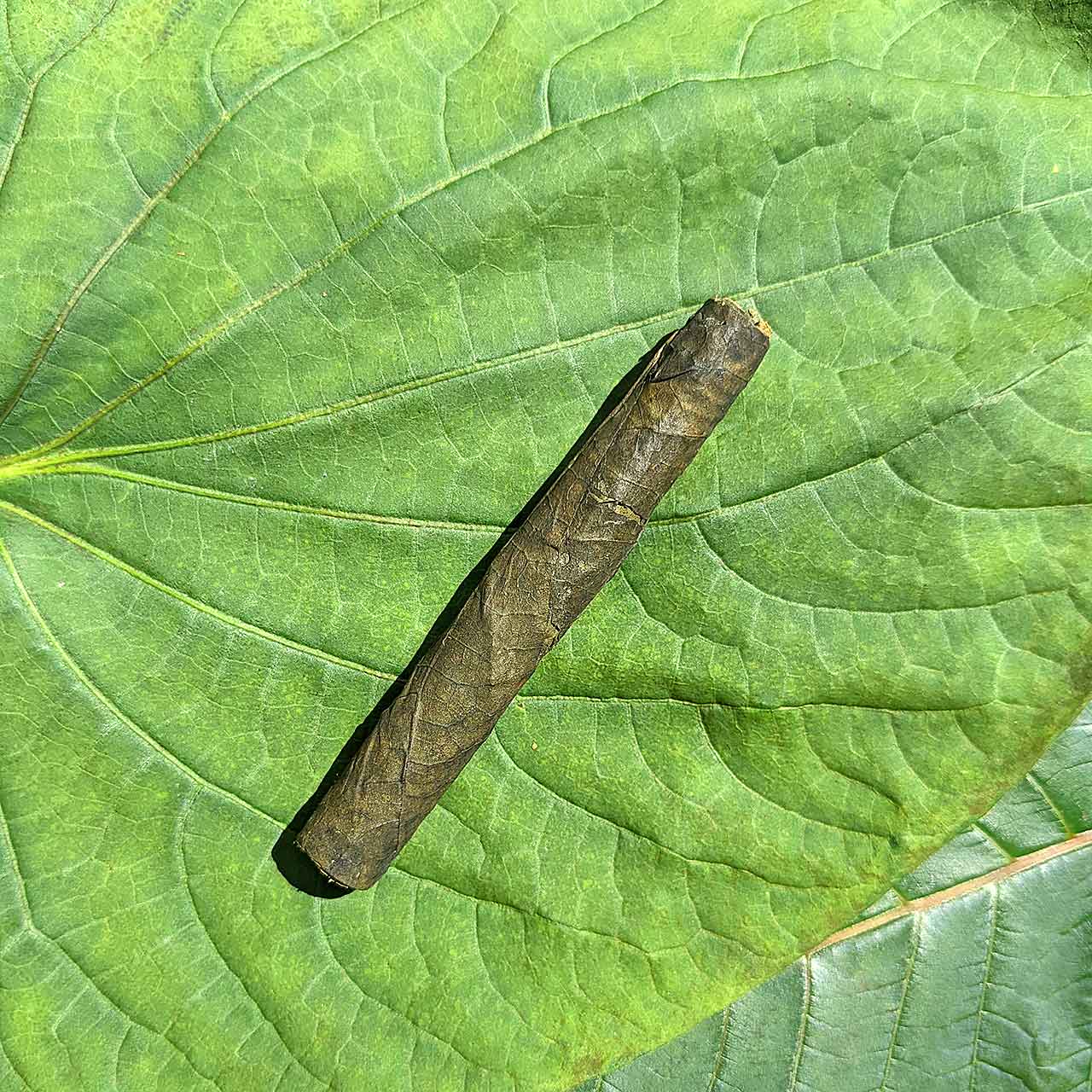 Kavagars - Tobacco Free Cigars